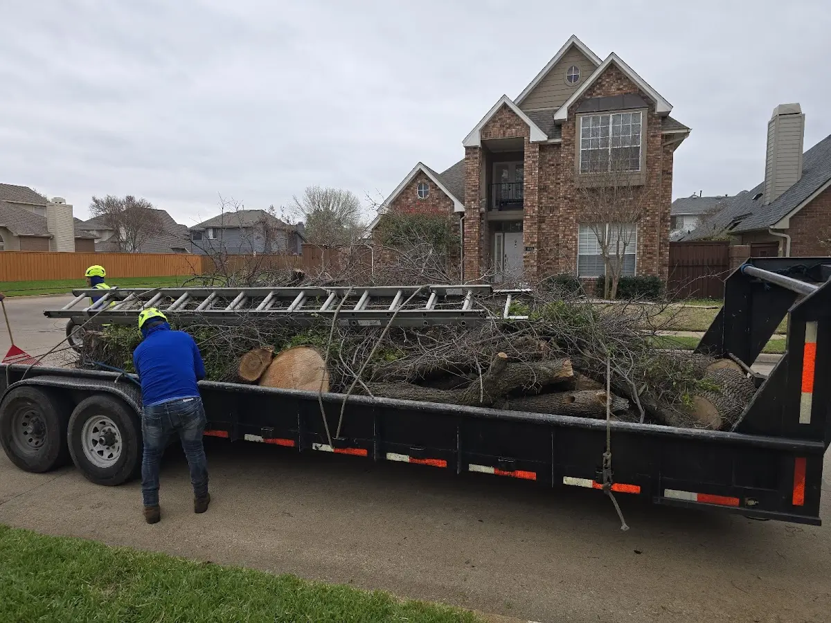 Expert Lot Clearing with proper safety equipment in Stanton